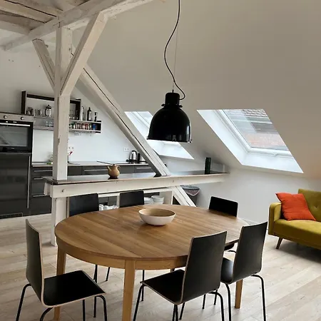 Loft Im Dachgeschoss Der Haeselburg Mit Weitblick * Gera